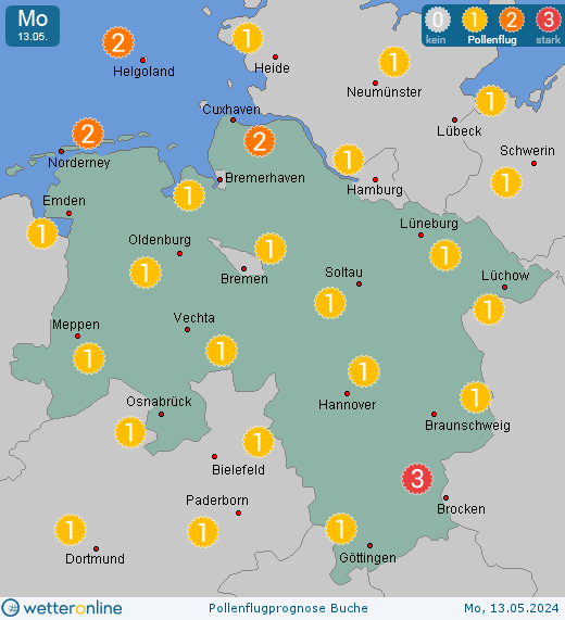 Niedersachsen: Pollenflugvorhersage Buche für Dienstag, den 23.04.2024