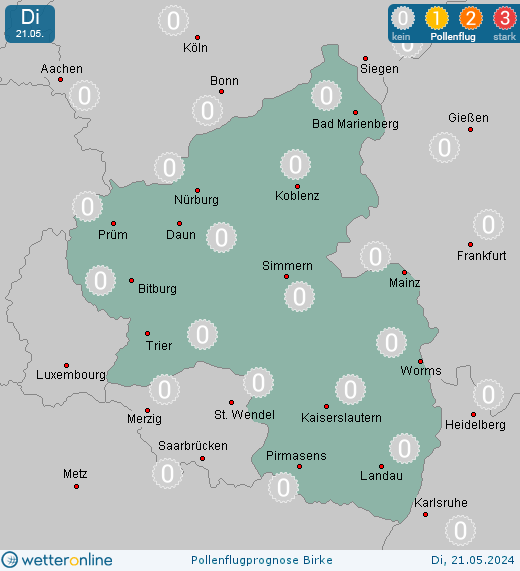 Nürburg: Pollenflugvorhersage Birke für Montag, den 29.04.2024
