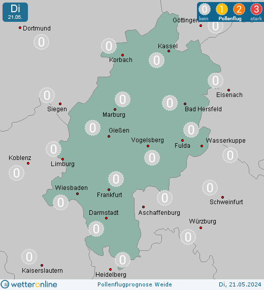 Hemsbach: Pollenflugvorhersage Weide für Montag, den 29.04.2024
