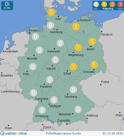 Deutschland: Pollenflugvorhersage Buche für Montag, den 29.04.2024