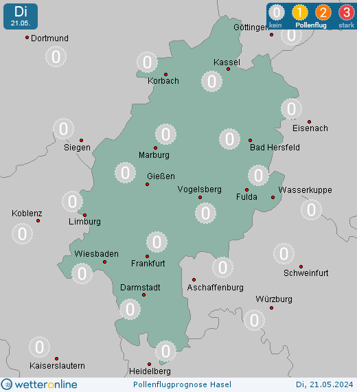 Frankenberg: Pollenflugvorhersage Hasel für Montag, den 29.04.2024