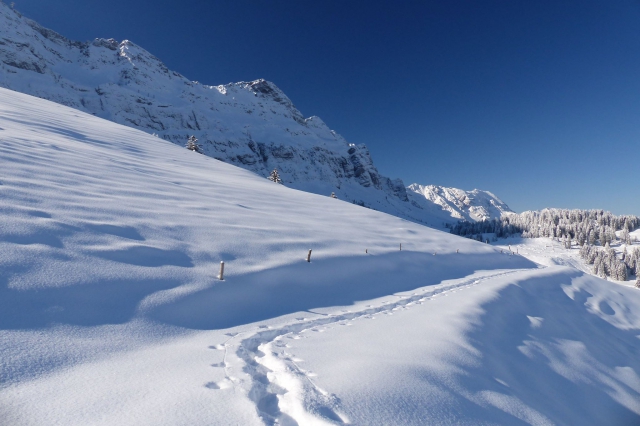 Schneeschuhtour in der Schweiz