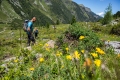 Bestes Wanderwetter in den Alpen