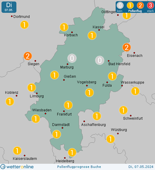 Rodenbach: Pollenflugvorhersage Buche für Freitag, den 28.01.2022