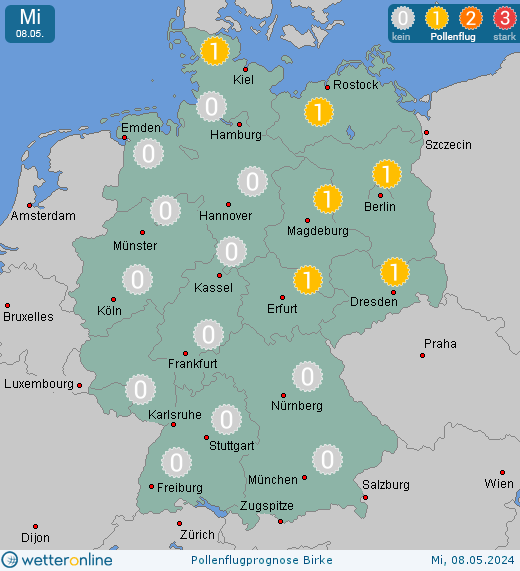 Deutschland: Pollenflugvorhersage Birke für Montag, den 28.11.2022