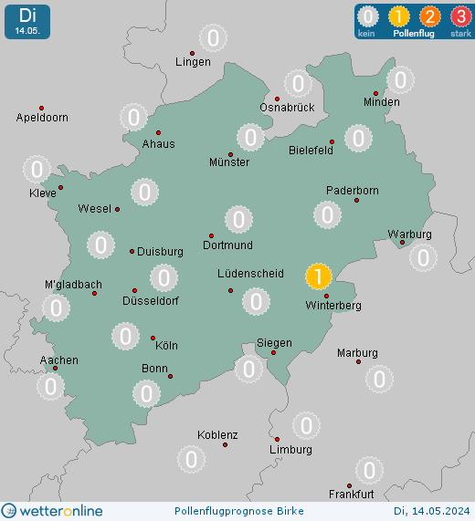Bottrop: Pollenflugvorhersage Birke für Mittwoch, den 24.04.2024