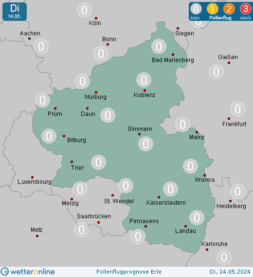 Monzingen: Pollenflugvorhersage Erle für Mittwoch, den 24.04.2024