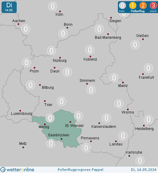 Homburg: Pollenflugvorhersage Pappel für Mittwoch, den 24.04.2024