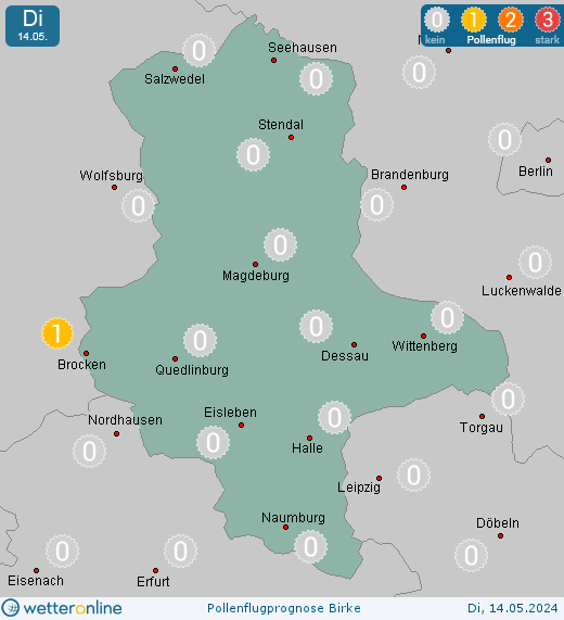 Sachsen-Anhalt: Pollenflugvorhersage Birke für Mittwoch, den 24.04.2024