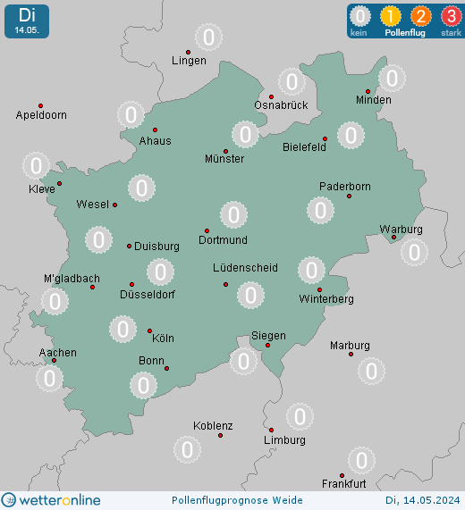 Brühl: Pollenflugvorhersage Weide für Mittwoch, den 24.04.2024