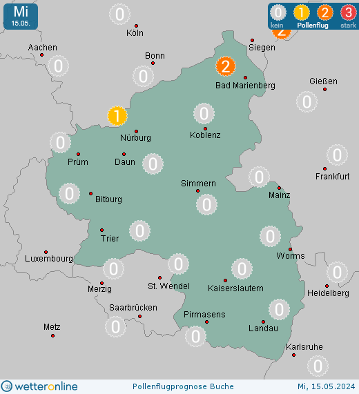 Geisbüschhof: Pollenflugvorhersage Buche für Freitag, den 26.04.2024