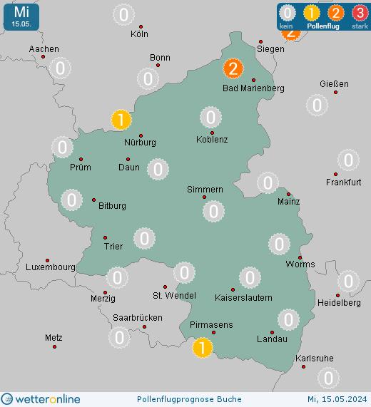 Trier: Pollenflugvorhersage Buche für Freitag, den 26.04.2024