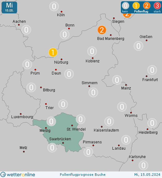 Homburg: Pollenflugvorhersage Buche für Freitag, den 26.04.2024