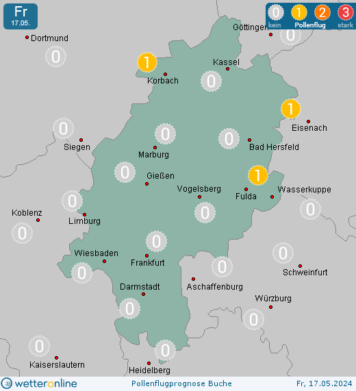 Schenklengsfeld: Pollenflugvorhersage Buche für Samstag, den 27.04.2024