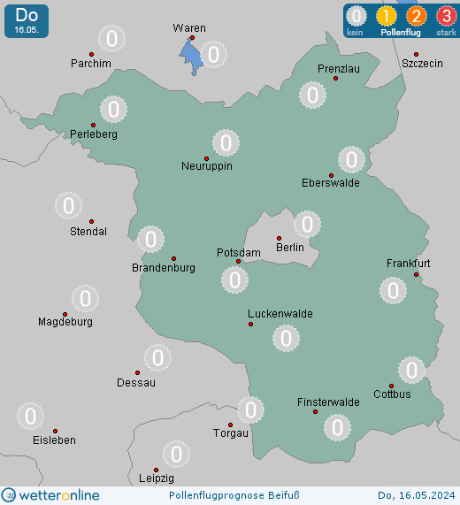 Bernau: Pollenflugvorhersage Beifuß für Samstag, den 27.04.2024
