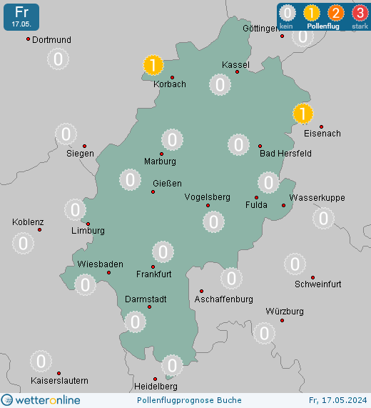 Hessen: Pollenflugvorhersage Buche für Samstag, den 27.04.2024