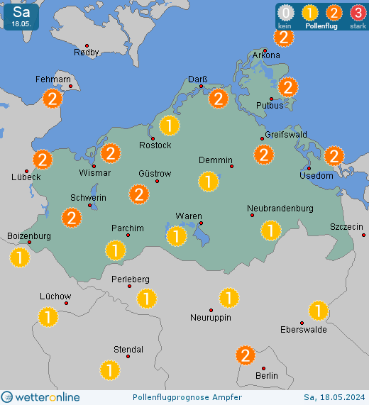Mecklenburg-Vorpommern: Pollenflugvorhersage Ampfer für Sonntag, den 28.04.2024