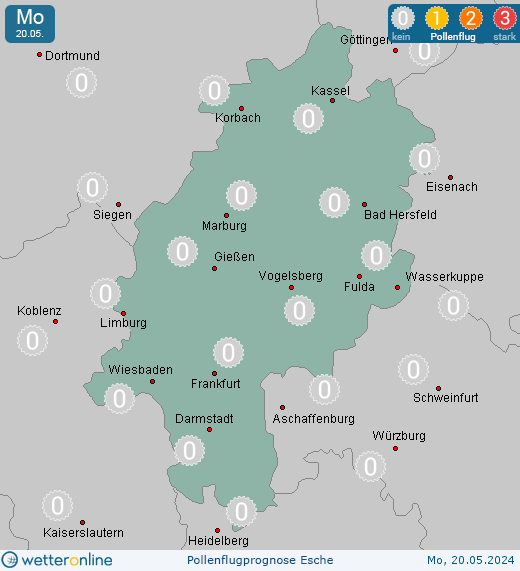 Hessen: Pollenflugvorhersage Esche für Montag, den 29.04.2024