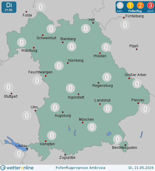 Ohlstadt: Pollenflugvorhersage Ambrosia für Montag, den 29.04.2024