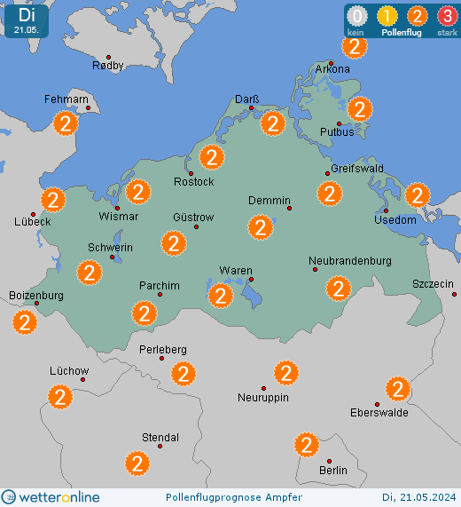 Mecklenburg-Vorpommern: Pollenflugvorhersage Ampfer für Montag, den 29.04.2024