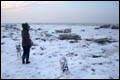 Eisschollen am Nordseestrand