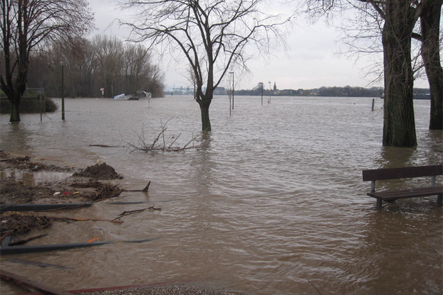 Hochwasser an Main und Rhein