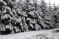 Schneefall in den Mittelgebirgen