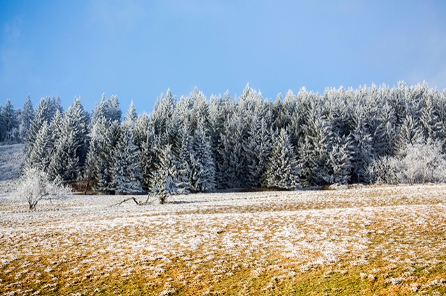 Winterstimmung im Erzgebirge