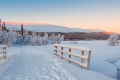 Lappland - Winter pur erleben