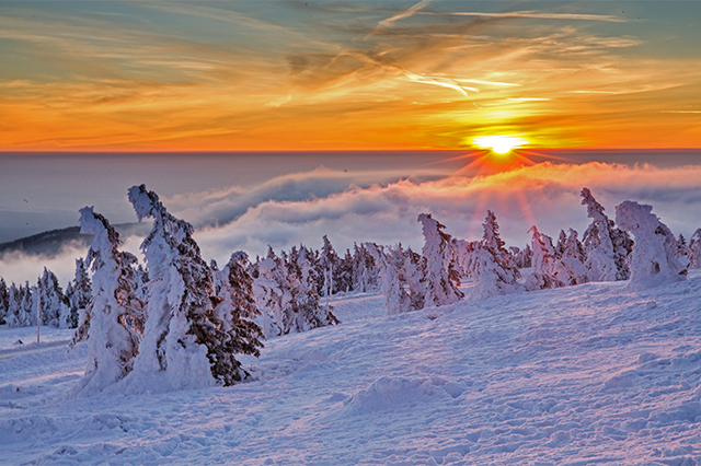 Harz: Traumhafter Wintermorgen 