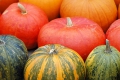 Gemüse und Obst der Herbstsaison