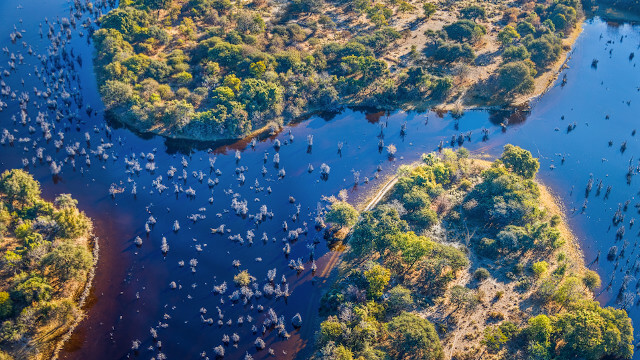 Botusana Okavangodelta