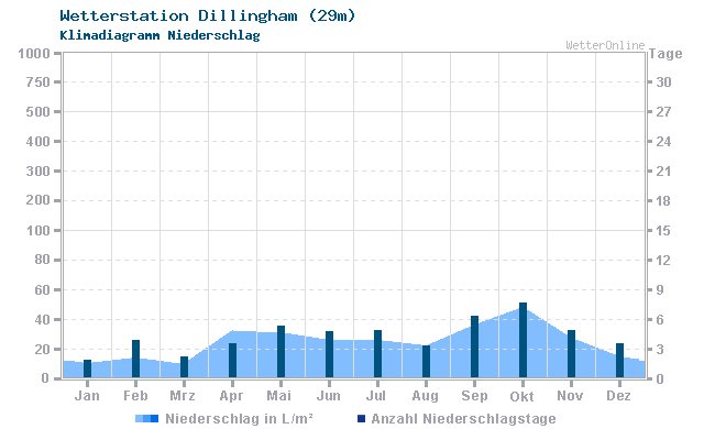 Klimadiagramm Niederschlag Dillingham (29m)