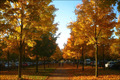 Herbst-Rückblick in Bildern