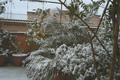 Sogar in Rom liegt Schnee