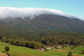 Nebelwand im Bayerwald