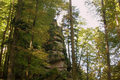 Der Schwarzwald im Herbst