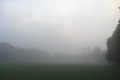 Nebel und Reif