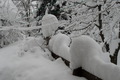Sachsen versinkt im Schnee