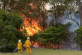 Große Buschbrände in Australien