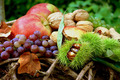 Bilderherbst: Früchte im Herbst