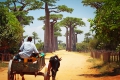 Fernweh: Madagaskar