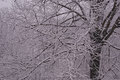 Schnee am Ostermontag
