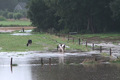 Überflutungen in Niedersachsen