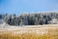 Winterstimmung im Erzgebirge
