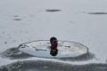 Eisschwimmen in Sibirien