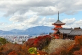 Kyoto: Japans Kultur erleben
