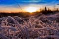 Frost, Reif und Sonnenschein