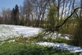 Allgäu: Schnee schmilzt dahin