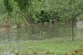 Überflutungen und Hochwasser
